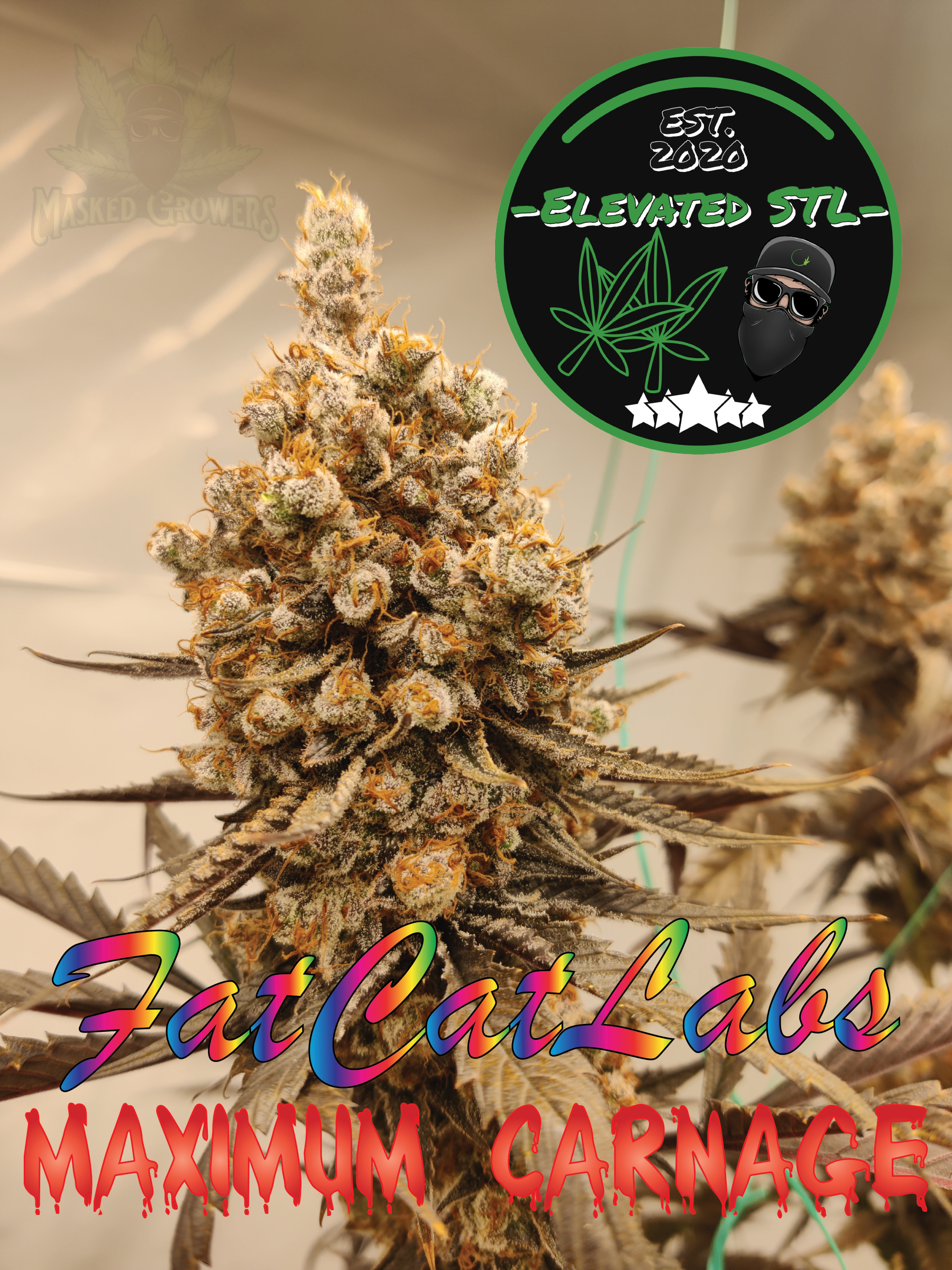 Maximum Carbage FatCatLabs, Elevated STL, ElevatedSTL, MG, Masked Growers Collab