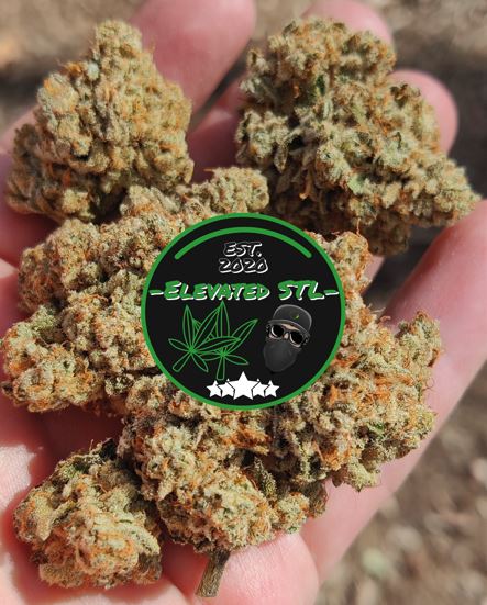 ElevatedSTL, Elevated STL, Saint Louis, Missouri, Masked Growers. Hand Full